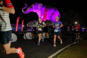 BIB: 
                            <button type="button" onclick="openModal(26535007)" class="btn btn-primary btn-sm float-right btn-popup" data-toggle="modal" data-target=".modal-high-quality">
                        <i class="fas fa-shopping-cart"></i> Add to Cart
                    </button>
                                            <button type="button" onclick="isThisMe(26535007, true)" class="btn btn-success btn-sm float-right btn-popup btn-isme hidden" data-toggle="tooltip" data-placement="bottom" title="นี่คือรูปของคุณใช่ไหม คลิกที่นี่เพื่อเอาเข้าอัลบั้ม">
                        <i class="fas fa-plus"></i> Add to album
                    </button>
                    <button type="button" onclick="isThisMe(26535007, false)" class="btn btn-warning btn-sm float-right btn-popup btn-isnotme hidden">
                        <i class="fas fa-ban"></i> Remove from album
                    </button>